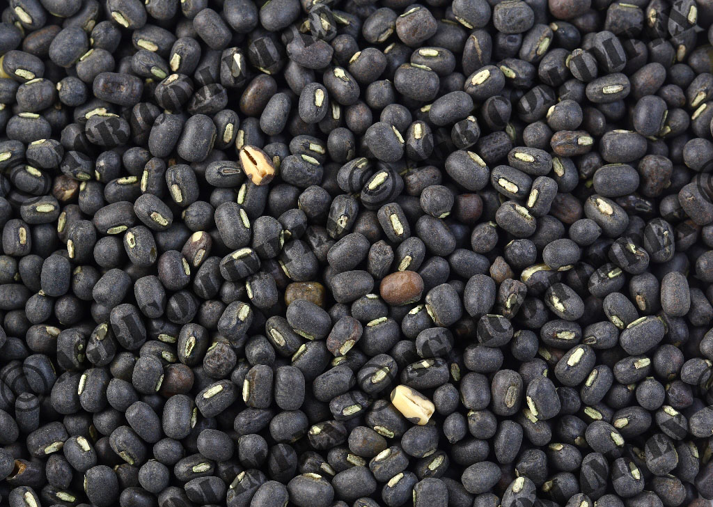 Black Matpe